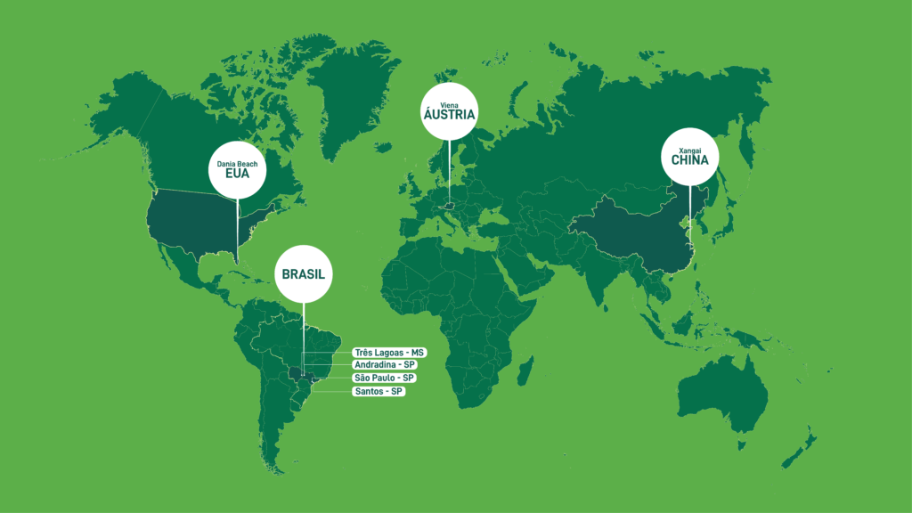 Nossa celulose no mundo